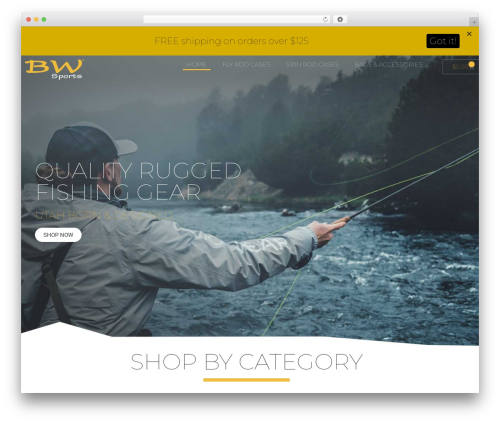 WordPress theme Bootstrap 4 Base Theme - bwsports.com