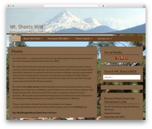 WordPress theme icyNETS Simplic - mtshastawild.com WordPress theme icyNETS Simplic - mtshastawild.com