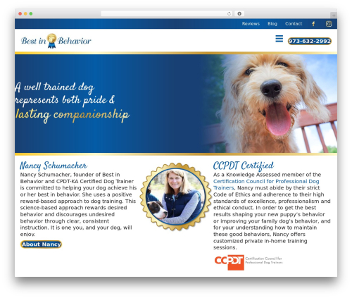 Beaver Builder Theme WordPress theme - bestinbehavior.com
