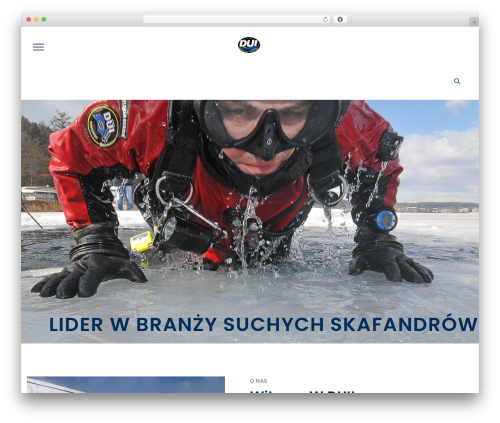Themeextras for duplexotheme WordPress plugin - duipolska.pl