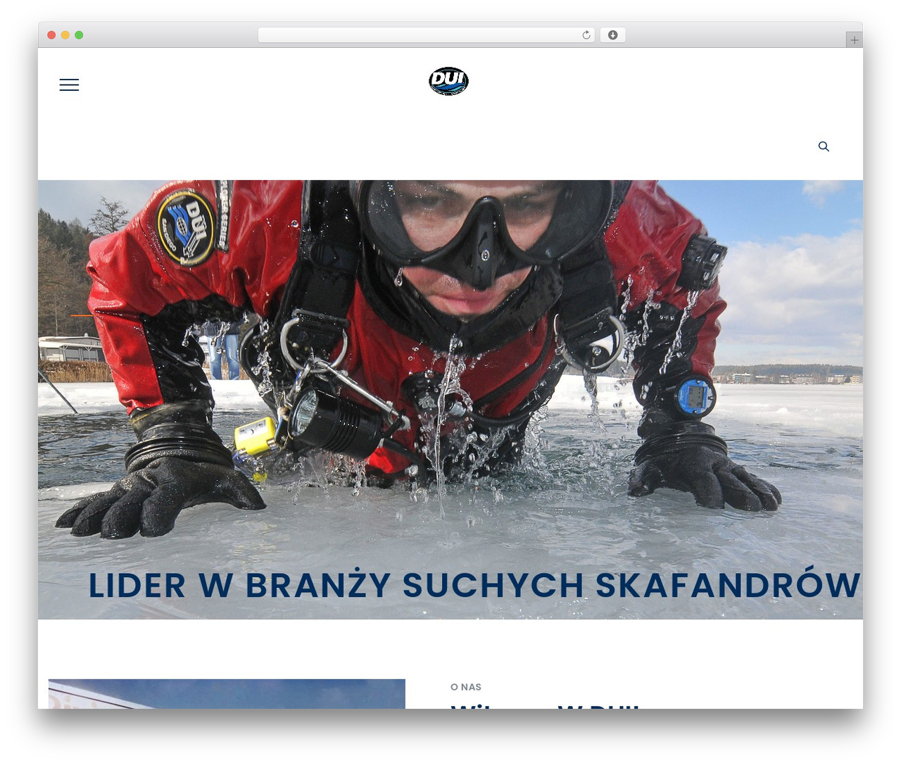Duplexo WordPress theme - duipolska.pl