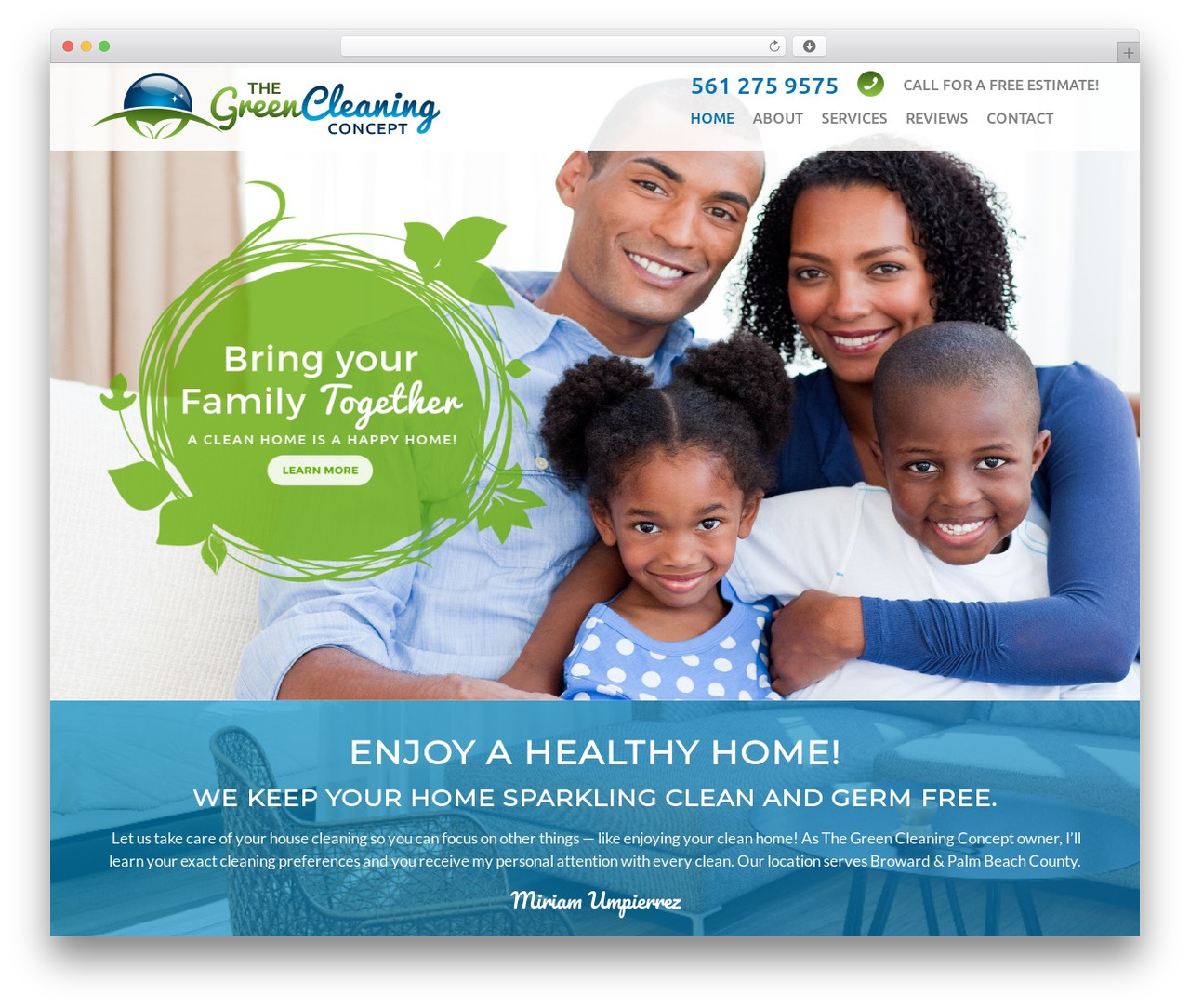 lytron theme WordPress - thegreencleaningconcept.com