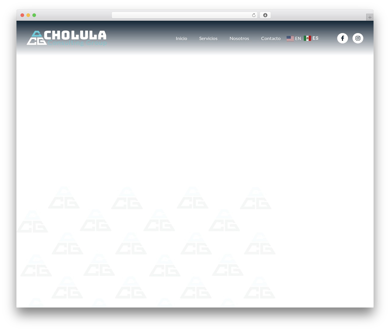 Hello Elementor theme WordPress - cholulaconsultinggroup.com