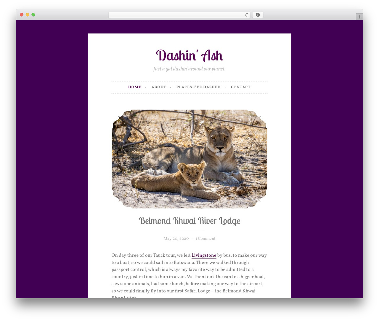 Button 2 WordPress theme - dashinash.com Button 2 WordPress theme - dashinash.com