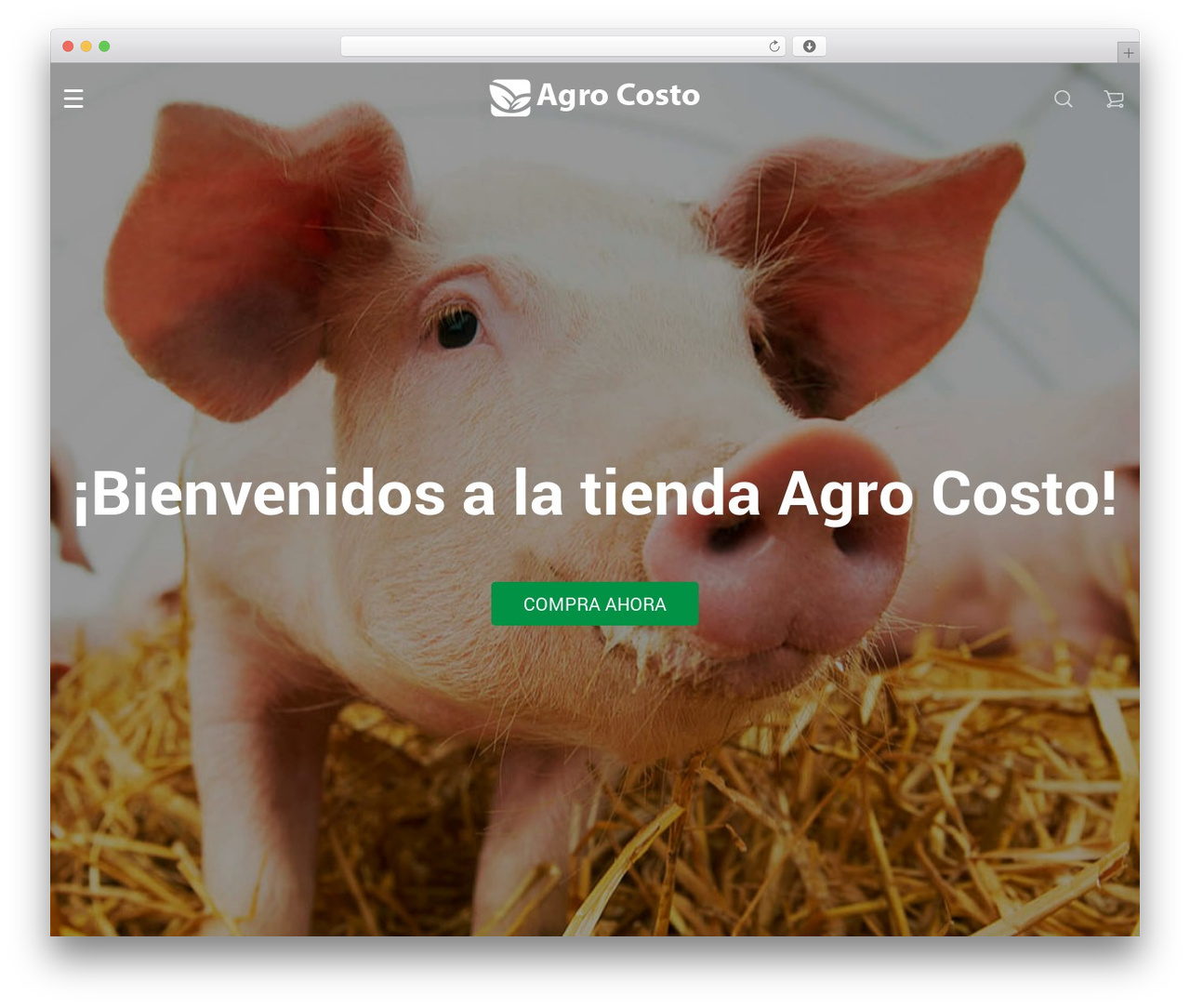 Rubens best WordPress theme - agrocosto.com Rubens best WordPress theme - agrocosto.com