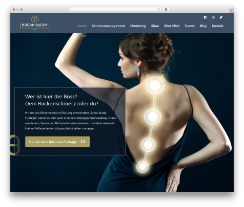 Designthemes portfolio addon WordPress plugin - break-buddy.com