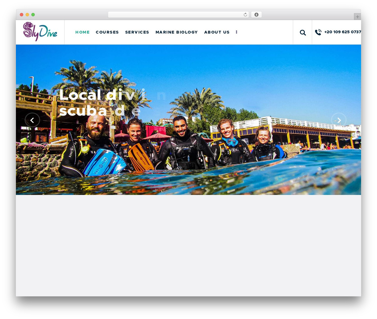 Briny WordPress theme - slydive.com