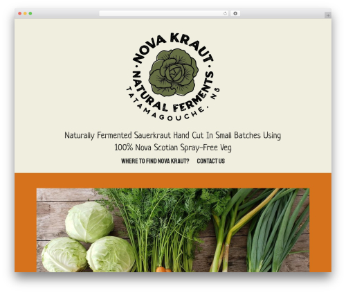 WordPress theme Beaver Builder Theme - novakraut.com