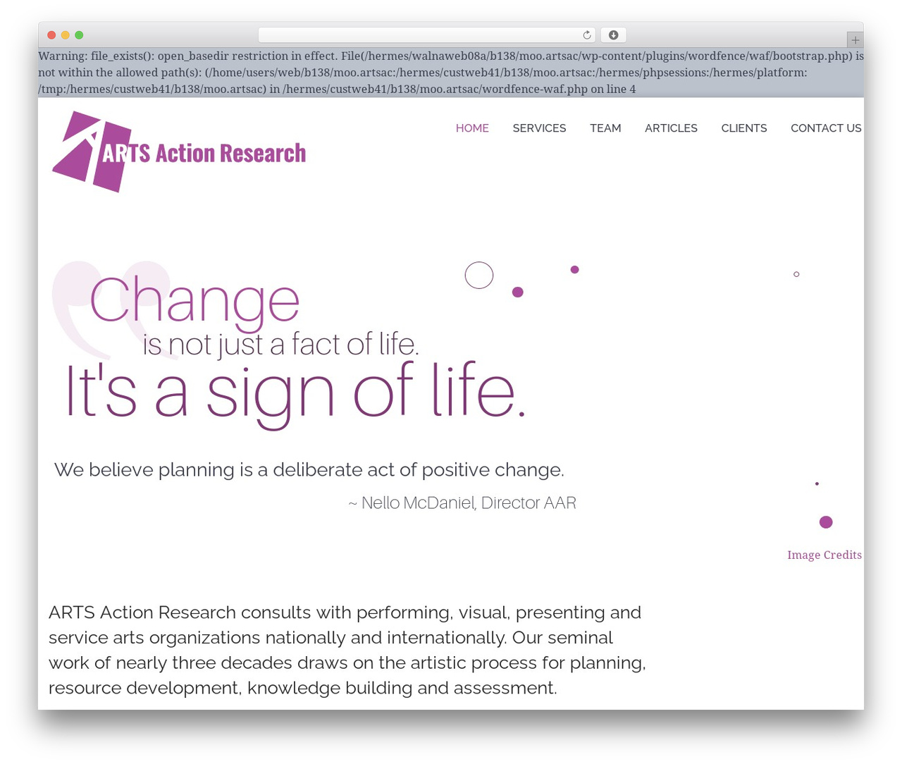 WordPress website theme Codeus - artsaction.com WordPress website theme Codeus - artsaction.com