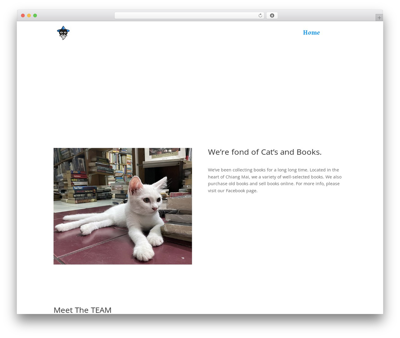 Divi WordPress ecommerce theme - shamanbookshop.com Divi WordPress ecommerce theme - shamanbookshop.com