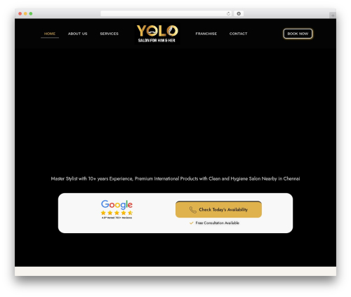Elementorpro3171n WordPress plugin - theyolosalon.com