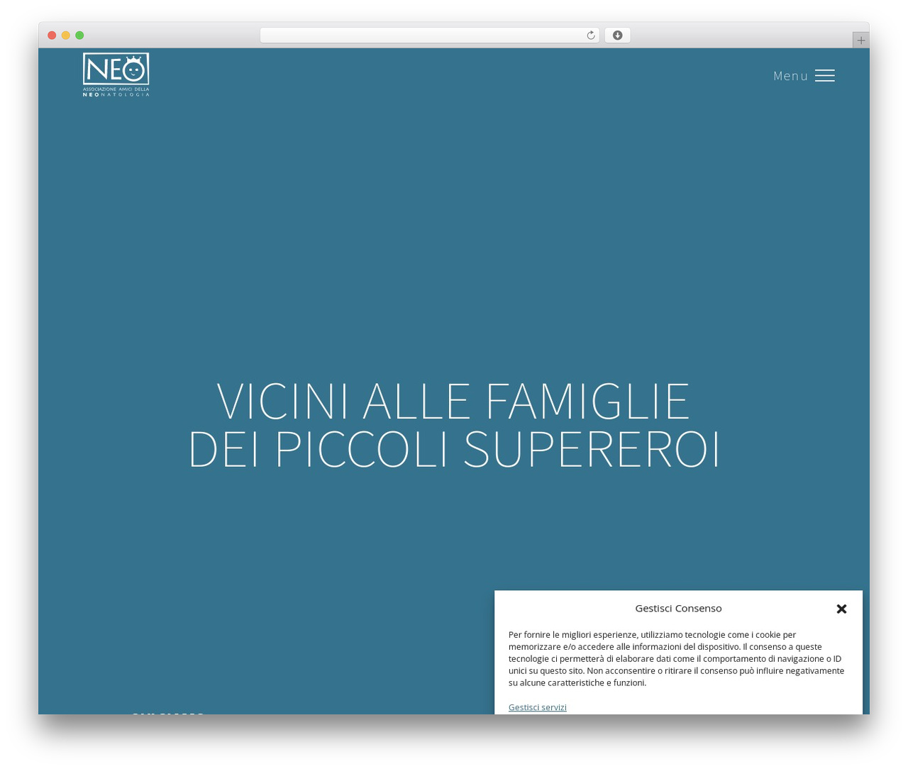 Nicex (Child Theme) WordPress theme - amicineonatologia.org