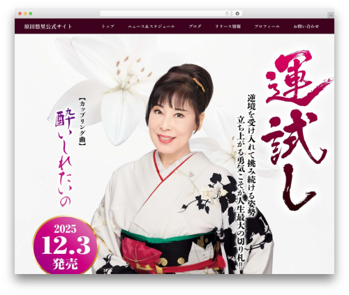 Theme WordPress 原田悠里 - haradayuri.com