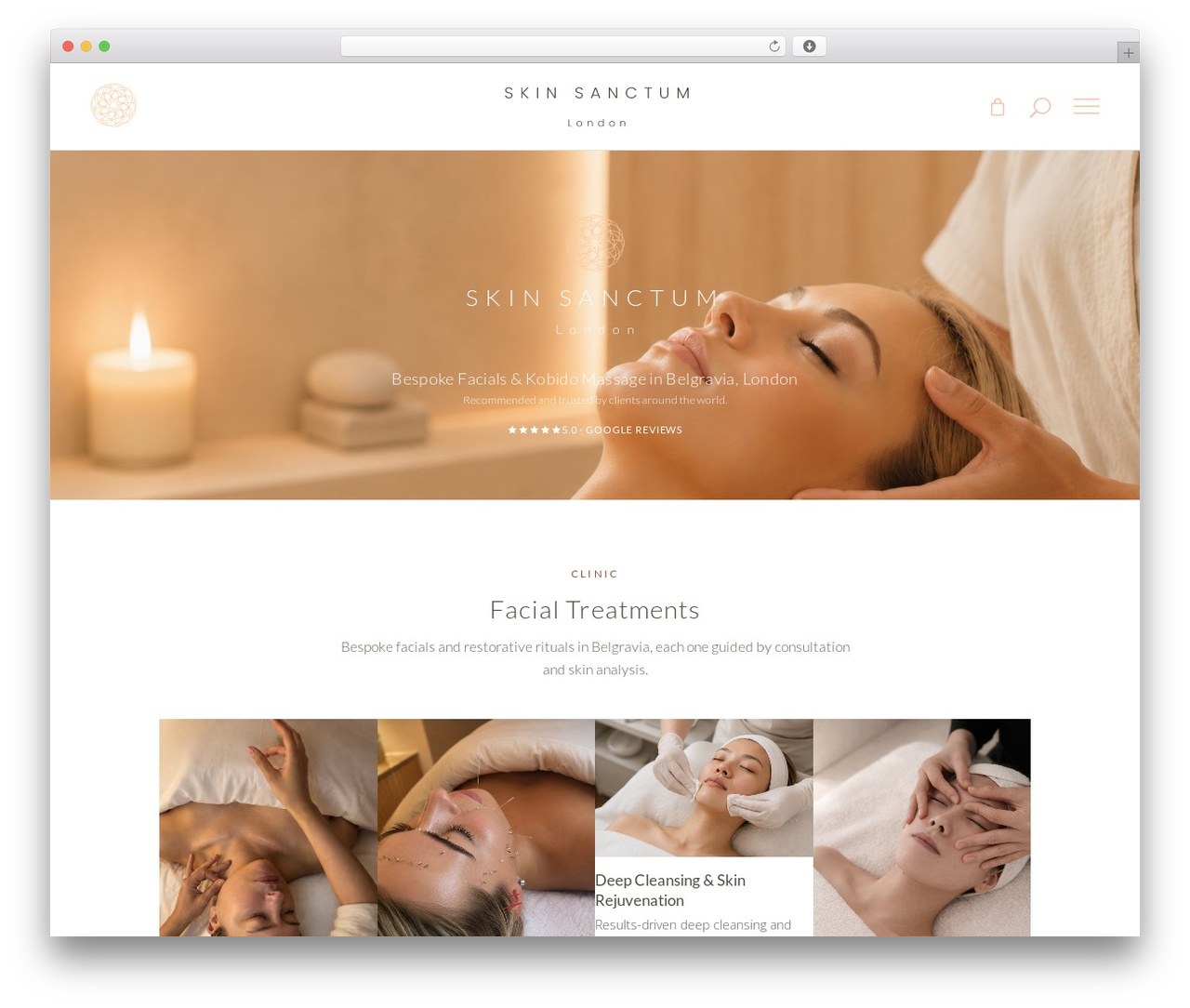 Assemble WordPress theme - skin-sanctum.com