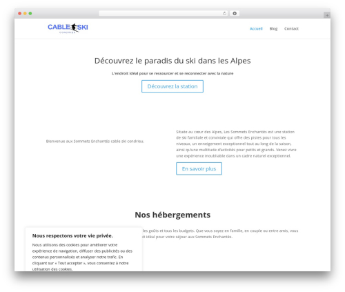 Divi contact form zero spam WordPress plugin - cableski-condrieu.com