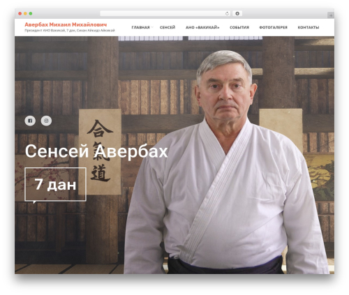 Selfer WordPress theme - averbakh-sensei.ru