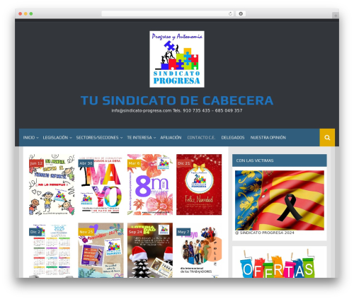 Synapse WordPress theme - sindicato-progresa.com