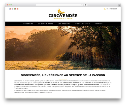 WordPress theme rdesign - gibovendee.com