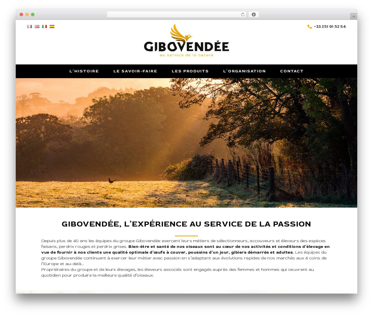 WordPress theme rdesign - gibovendee.com