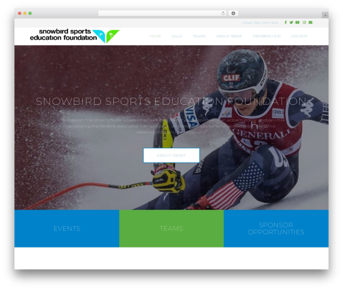 Awesome weather pro WordPress plugin - sbsef.com
