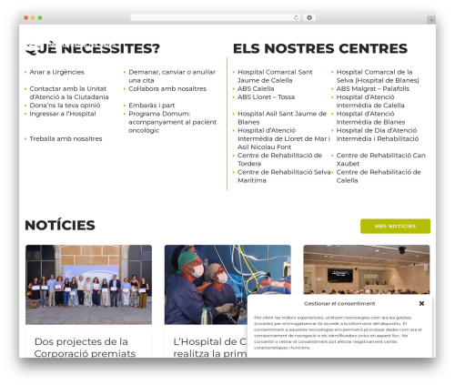 LabtechCO WordPress theme - salutms.cat