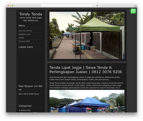 DarkElements theme WordPress - tondytenda.com