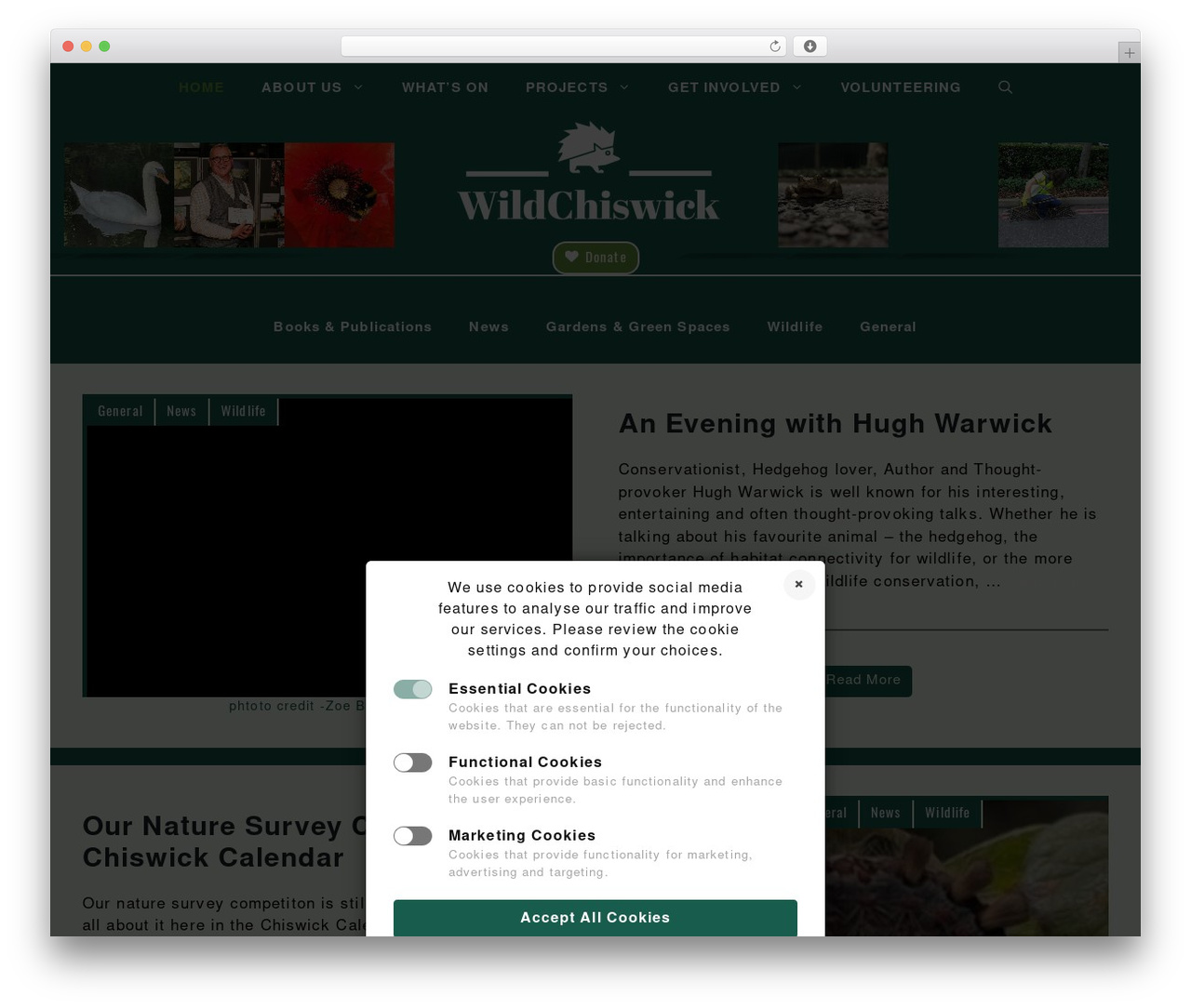 GeneratePress WordPress theme - wildchiswick.com GeneratePress WordPress theme - wildchiswick.com