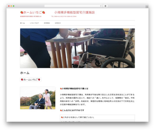 WordPress theme Tiny Framework - homeichigo.com