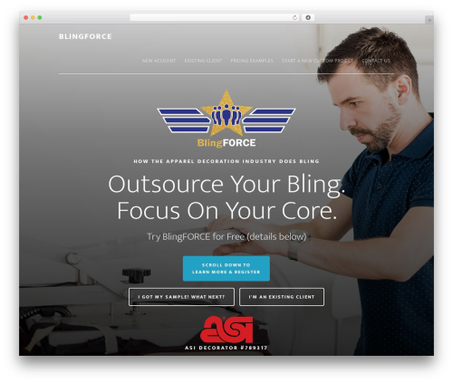 Wordpress carousel pro WordPress plugin - blingforce.com