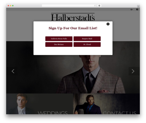 Beacon Theme theme WordPress - halberstadts.com
