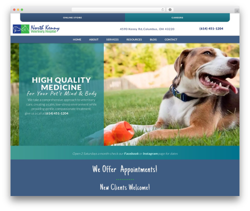 Intouch core management WordPress plugin - northkennyvet.com