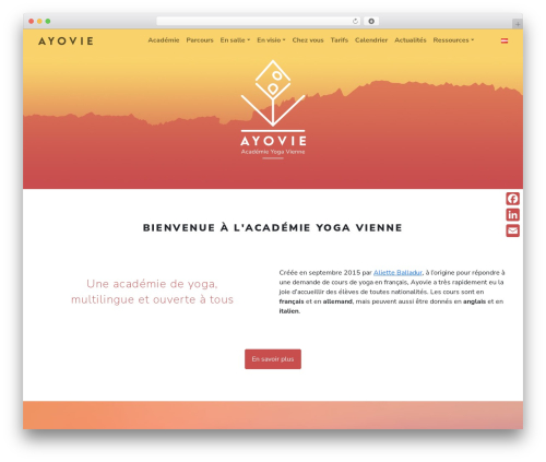 Bs grid main WordPress plugin - ayovie.com