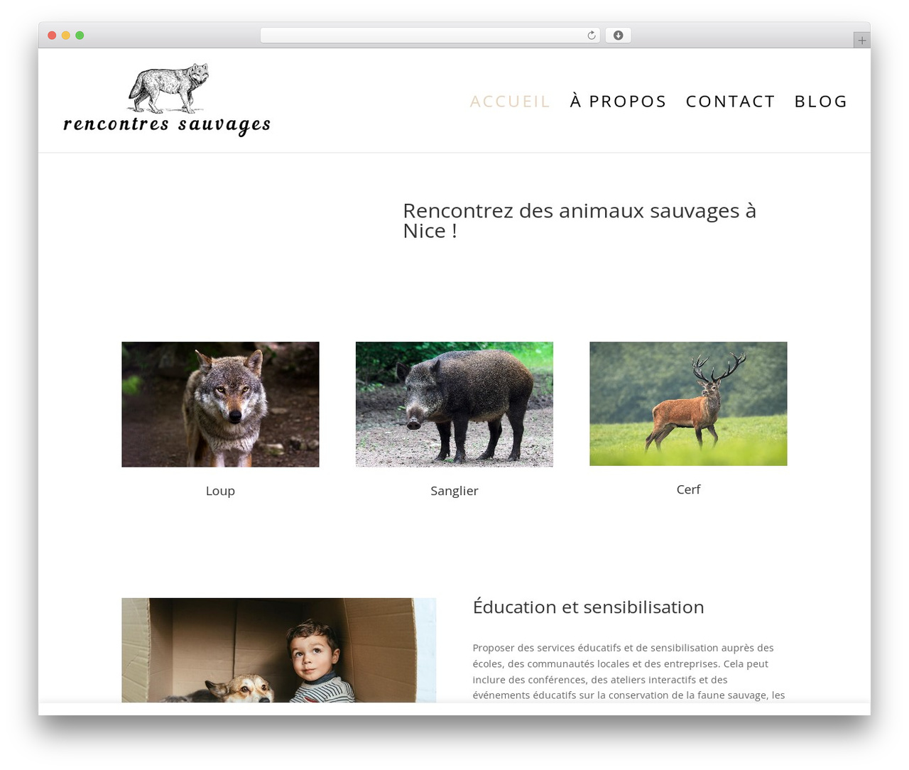 Divi premium WordPress theme - rencontres-sauvages.com Divi premium WordPress theme - rencontres-sauvages.com