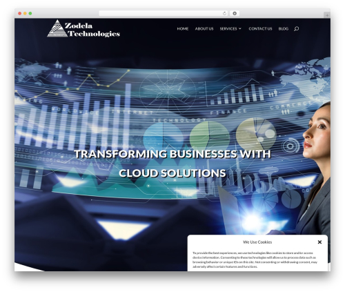 Divi top WordPress theme - zodela.com