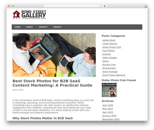 Minimize wallpapers WordPress theme - bondstreetgallery.com