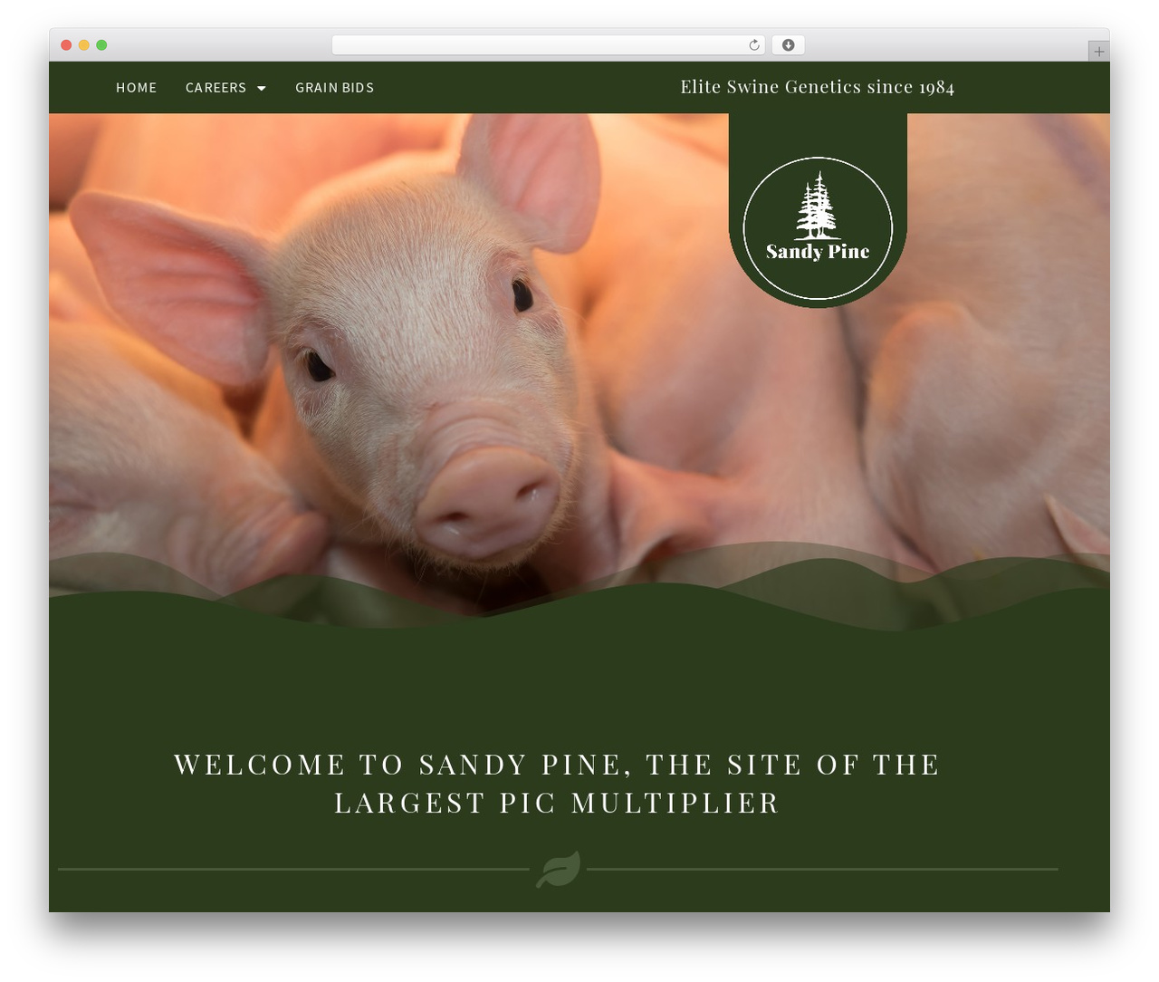 Sandy Pine Theme theme WordPress - sandypine.com Sandy Pine Theme theme WordPress - sandypine.com