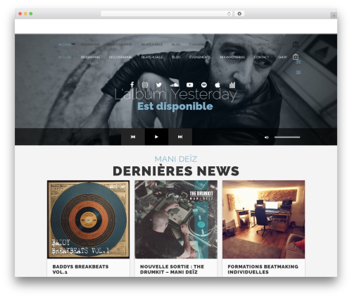 Theme WordPress Rebellion - manideiz.fr