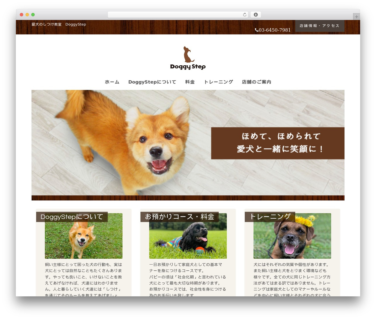 Theme WordPress Petit - dog-doggystep.com