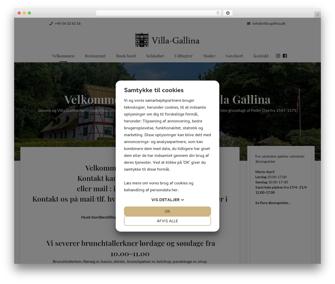WordPress theme number-two - villa-gallina.dk WordPress theme number-two - villa-gallina.dk
