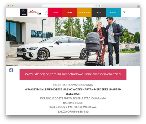 WordPress website theme Divi - bambinofelice.pl