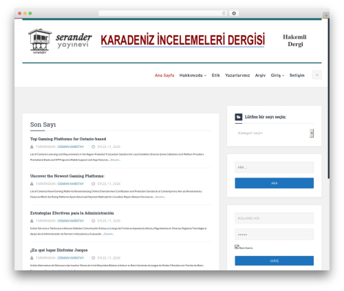 WordPress website theme Logger - kainder.com