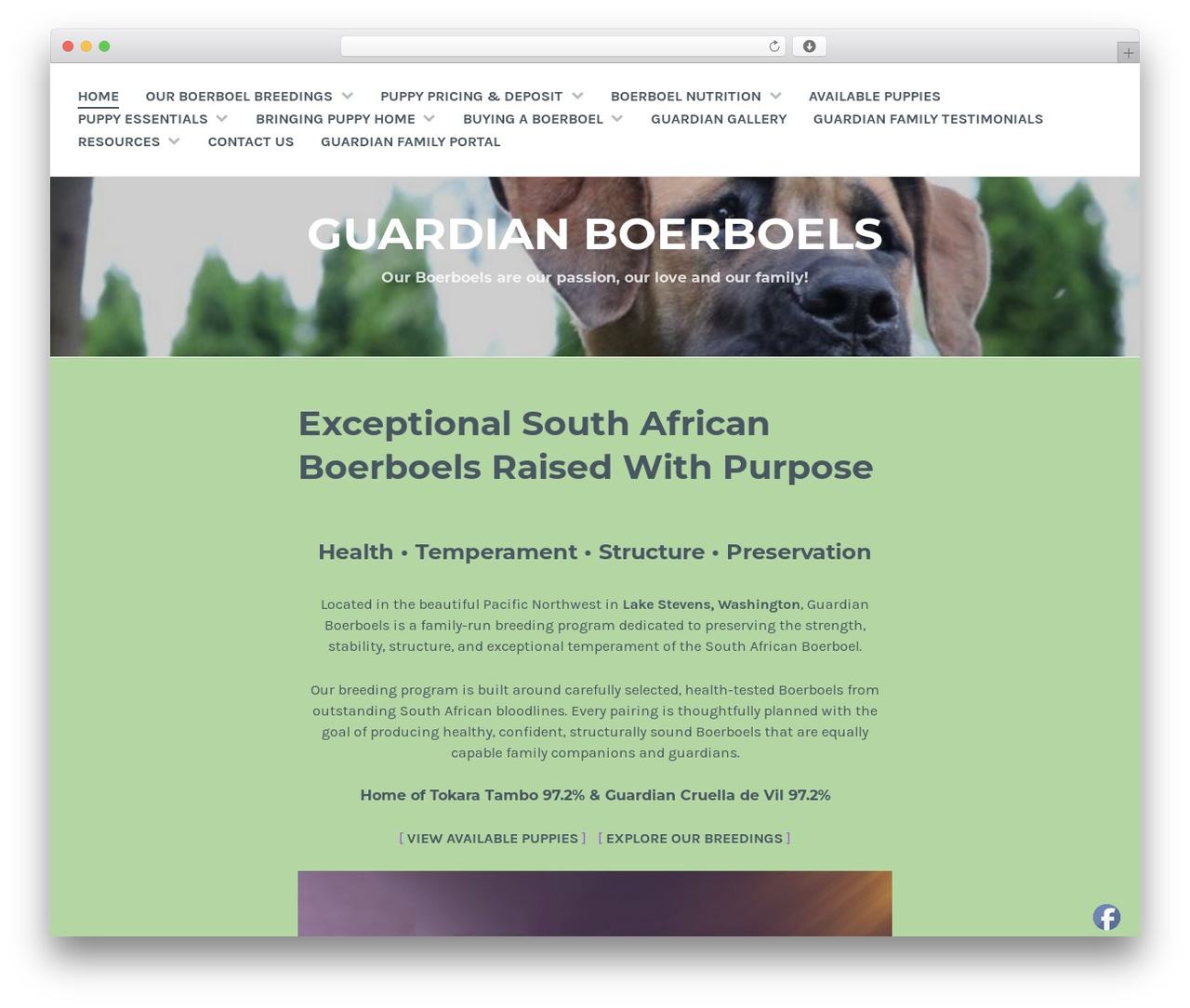 WP-Breeding WordPress theme - guardianboerboels.com