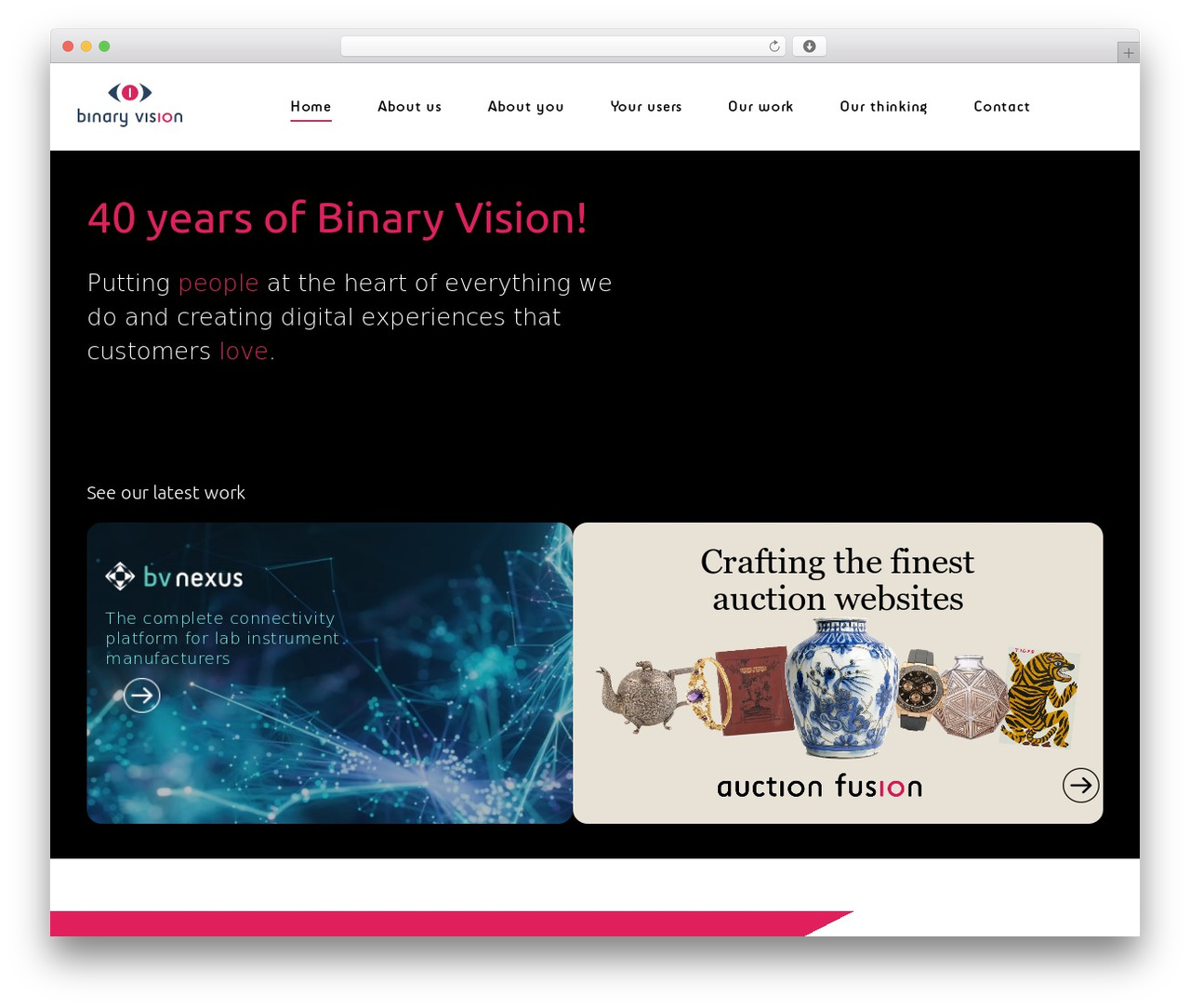 WP theme Binary Vision - binaryvision.com