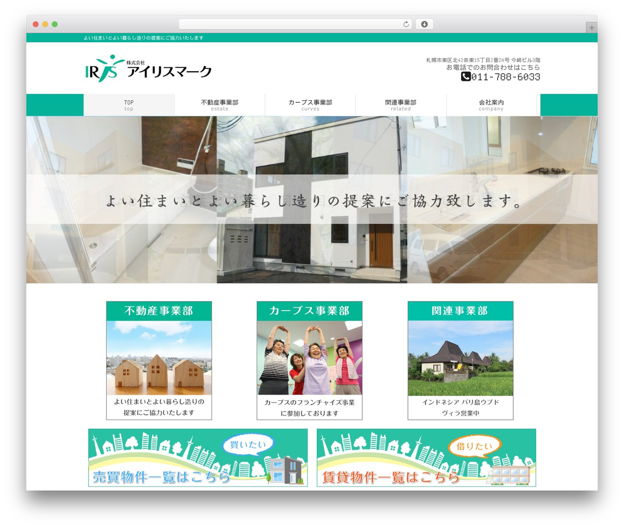 WP theme iris - irismark.com WP theme iris - irismark.com