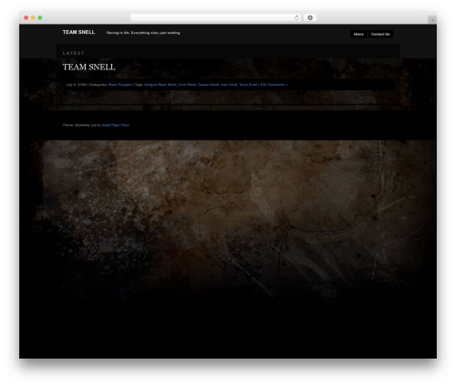 Modularity Lite WordPress theme - teamsnell.com