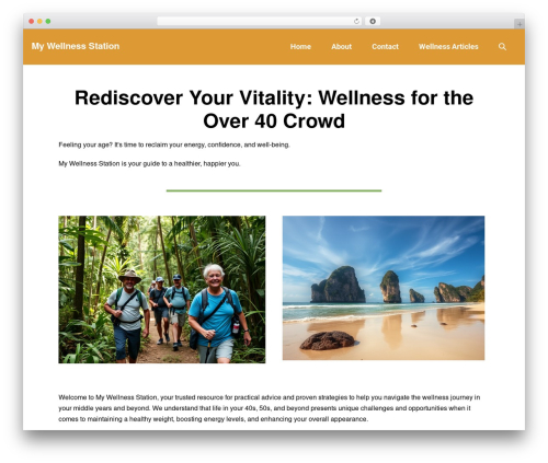 Wp ultimo WordPress plugin - mywellnessstation.com