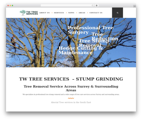 Quadric WordPress theme - treestumpsremoval.co.uk