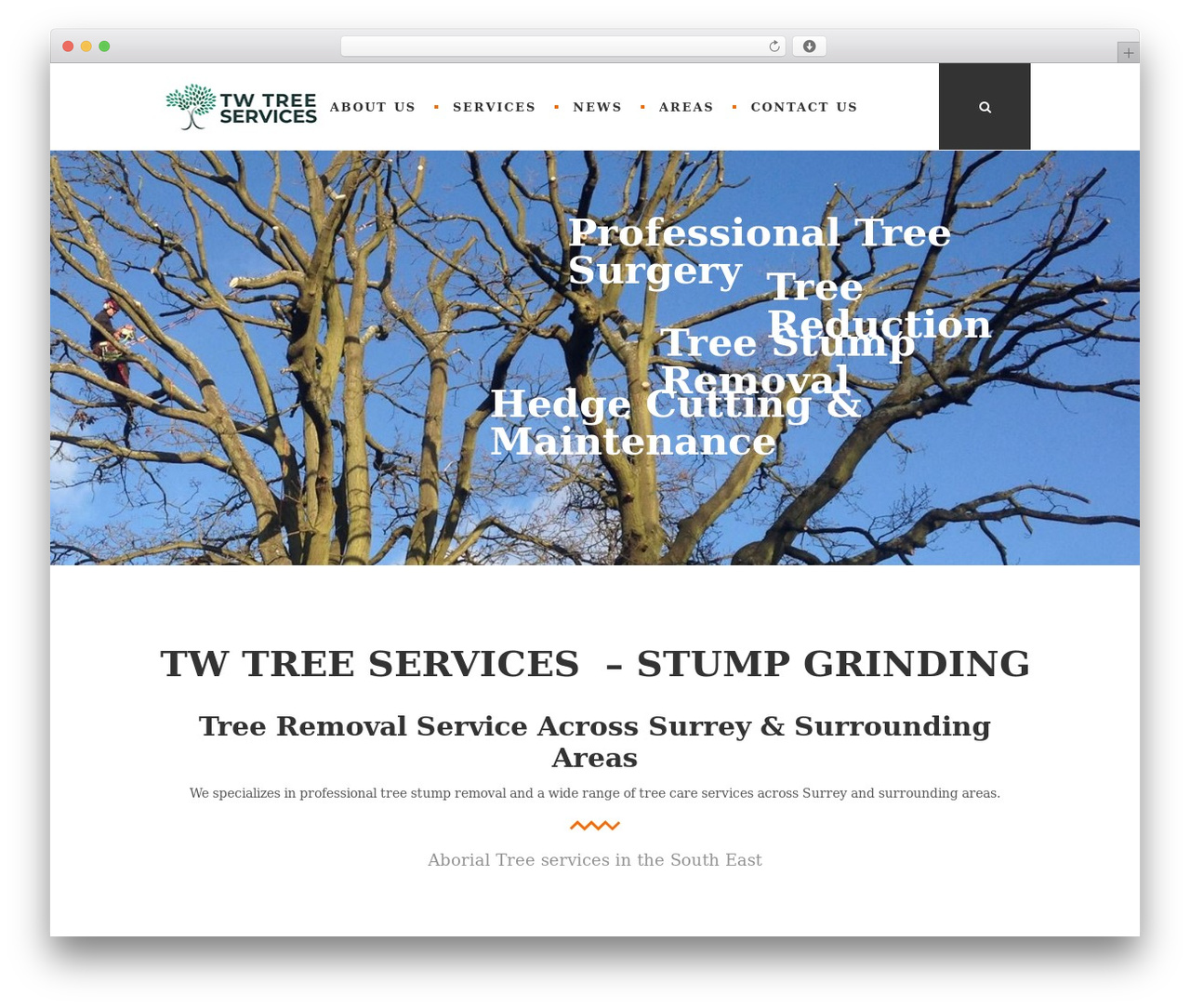 Quadric WordPress theme - treestumpsremoval.co.uk