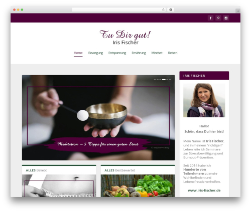 Wi shortcodes WordPress plugin - tudirgut.org