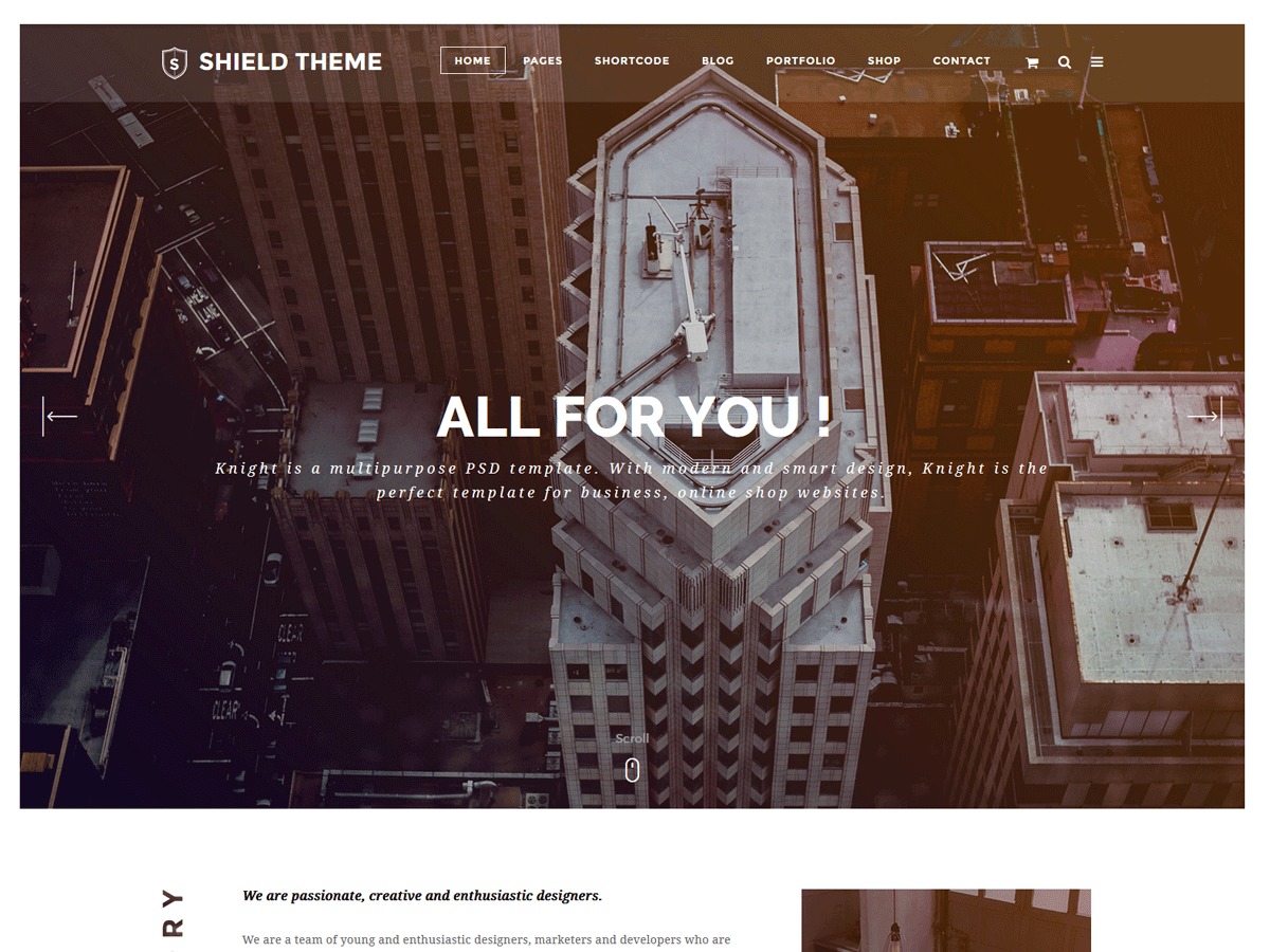 WordPress theme Shield by HasTech